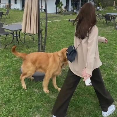 群山之后